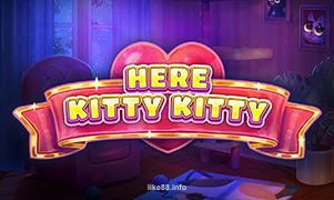 Here Kitty Kitty tại like88